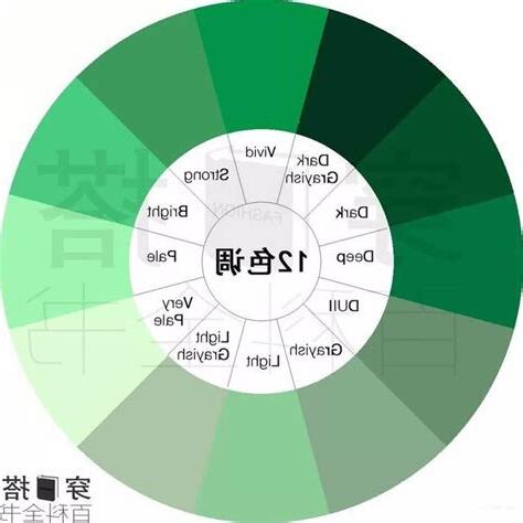 綠色 色階